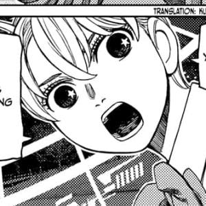 Chapter 208: Who's The Real Ninja?!