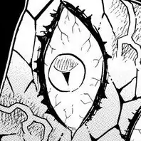 Chapter 79