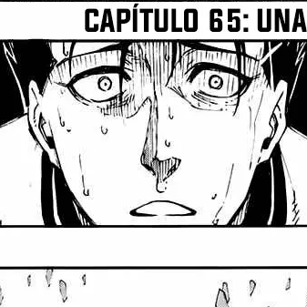 Capítulo 65  Una broma del destino
