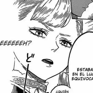 Capítulo 5 El otro nuevo miembro.