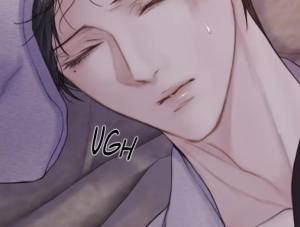 Ch.17