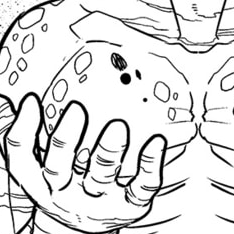 Chapter 114