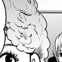 Capítulo 13 Formalidades.