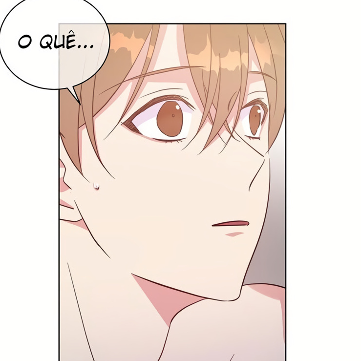 Capítulo 20