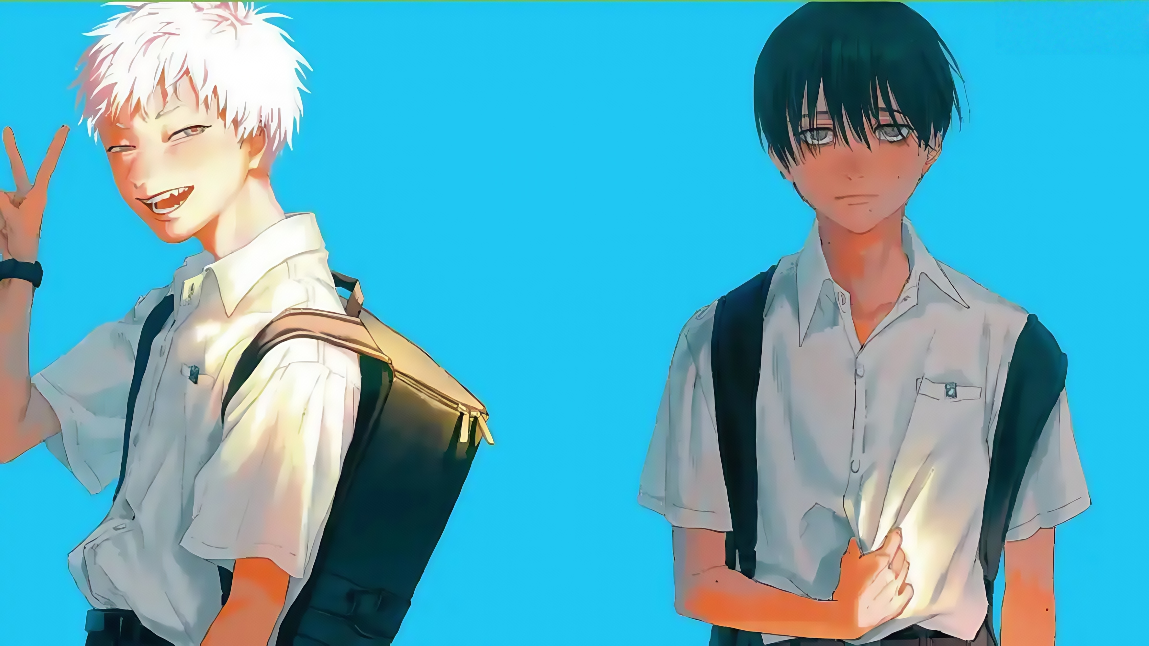 The Summer Hikaru Died