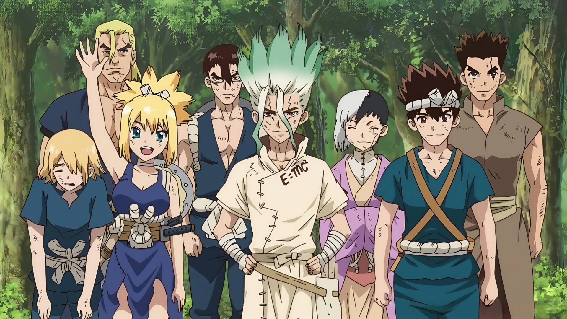 Dr. Stone