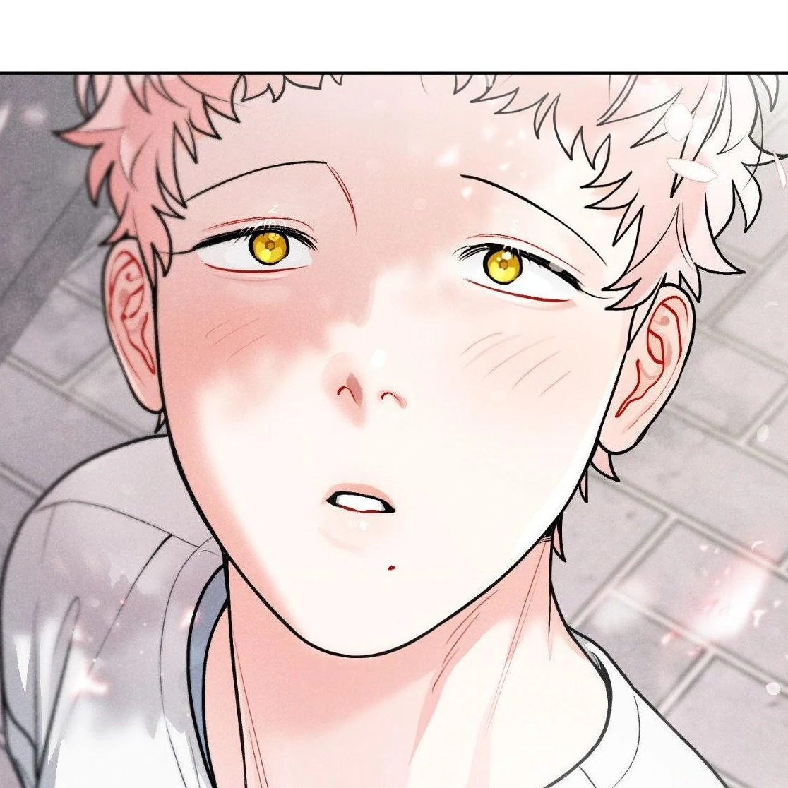 Chapter 28