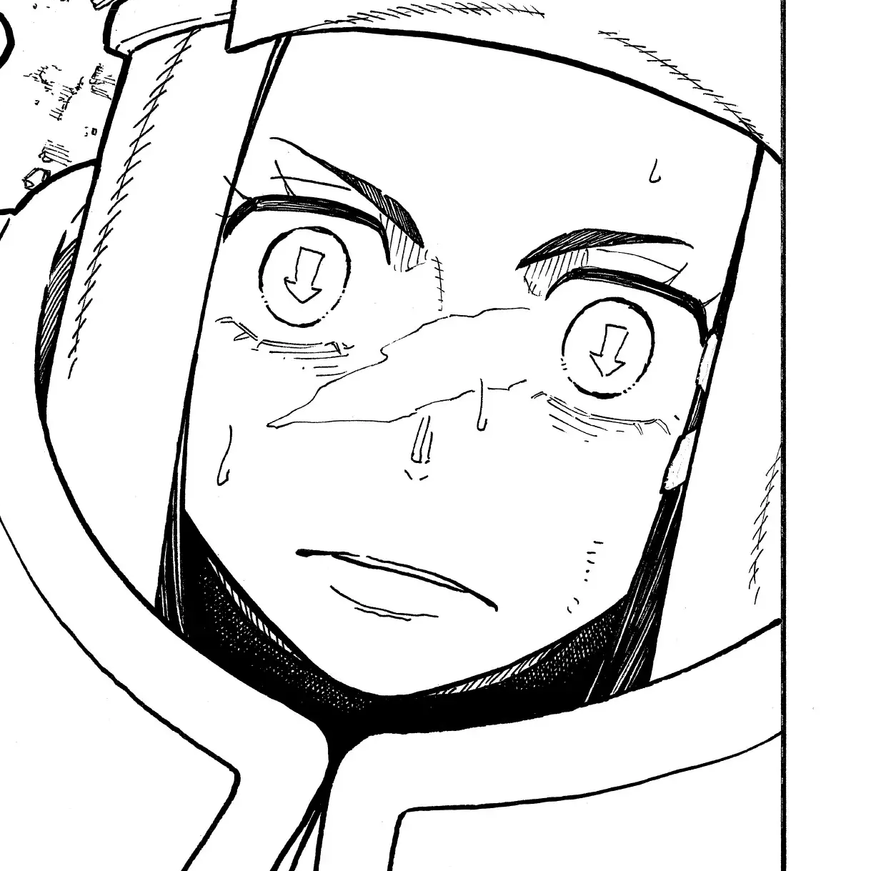 Volume 29 Chapter 252