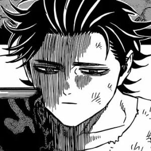 Capítulo 313 El capitán de los toros negros