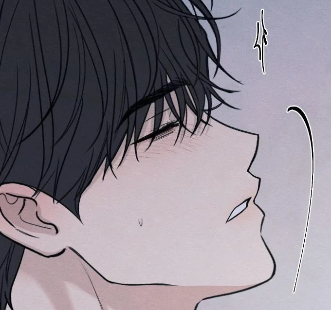 Chapter 81