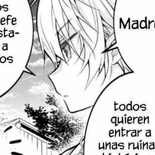 Capítulo 41  Pueblo Élfico