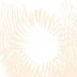 Chapter 74: The Imperial Institute