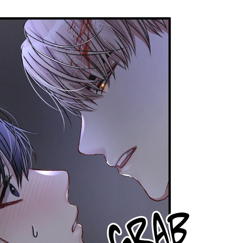 Chapter 19