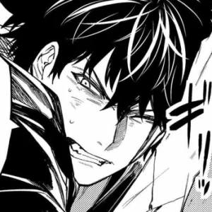 Capítulo 40  Reglas Especiales