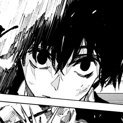 Chapter 223