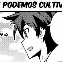 Capítulo 114 QUE PODEMOS CULTIVAR (2)