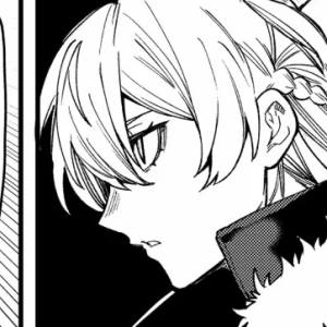 Capítulo 76  Reflección