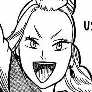 Capítulo 83 Infiltración.