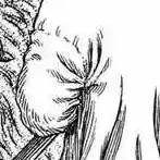 Capítulo 306 Fantasía