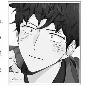 Capítulo 67.05  Anuncio